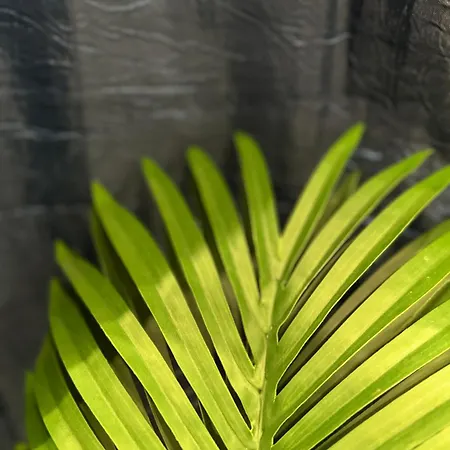 Apartament Plaza Espana